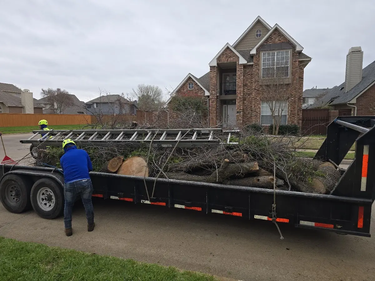 Expert Tree Removal with proper safety equipment in Trussville